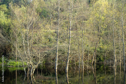 Ecopista Terras de Bouro - Portugal photo