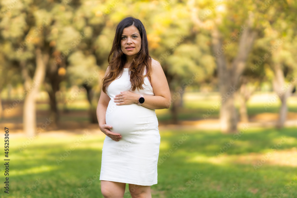 Pregnant woman in a dress standing in a park caressing her belly Pregnant woman in a dress standing in a park caressing her belly