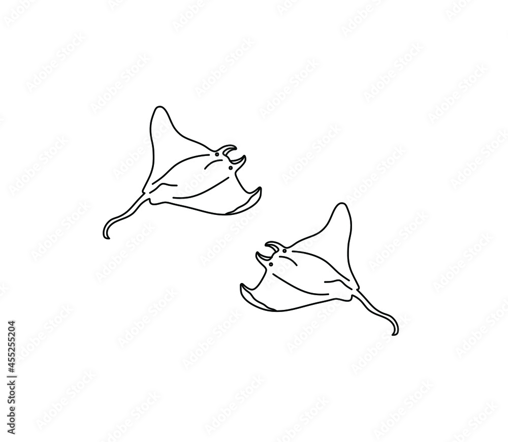 Vector isolated two stingrays torpedo line drawing set. Contour