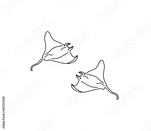 Vector isolated two stingrays torpedo line drawing set. Contour colorless stingray graphic outline sketch.