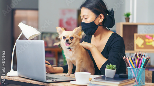 Asian woman typing on laptop at home office. Serious financial female wear casual and glasses, and play with dog. Technology concept. © prachid