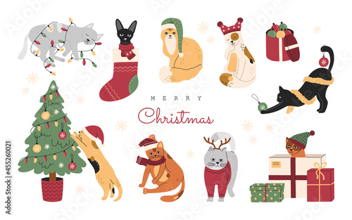Set of Christmas cats, collection of funny cute pets in hats, knitted sweaters and scarfs. Sleeping kittens with garlands and presents. Hand drawn vector illustration, isolated on white background