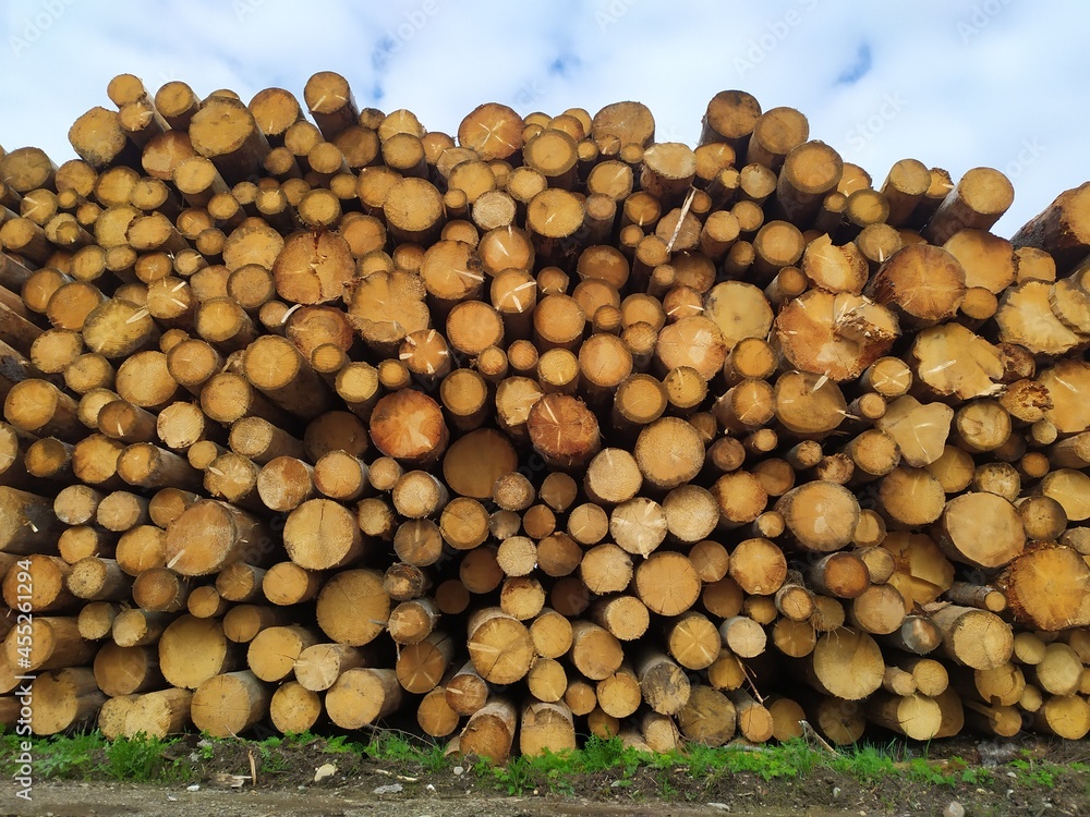 wood, texture, sawn, log