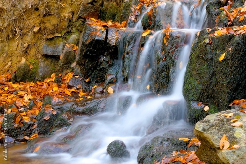 waterfall in the forest