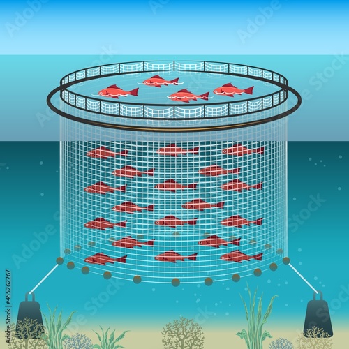 Floating farm illustration