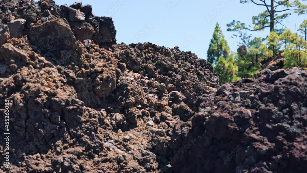Natural shot of beautiful ground soil texture. Close-up on wild island rocks, desert landscape and tropical trees. Sunny weather. Natural shot of beautiful ground soil texture. Close-up on wild island rocks, desert landscape and tropical trees. Sunny weather.