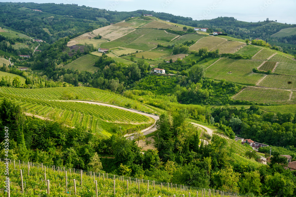 Landscape of Langhe, Piedmont, Italy near Diano at May
