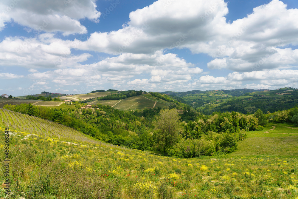 Landscape of Langhe, Piedmont, Italy near Dogliani at May Landscape of Langhe, Piedmont, Italy near Dogliani at May