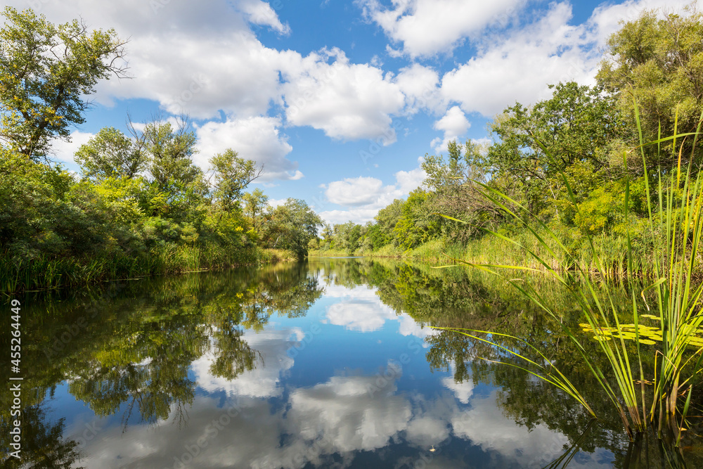 Summer river