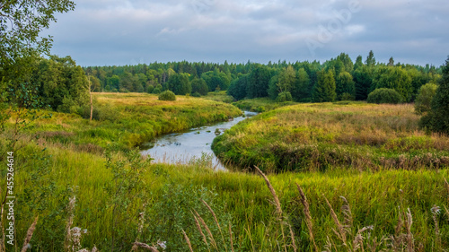A beautiful river in a field near the forest. Summer landscape. Lemovzha, Volosovsky District, Leningrad Region Russia.