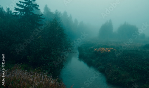 foggy mystical  fall morning in the forest on the Lemovzha river in the Volosovsky district of the Leningrad region of Russia © Lana Kray