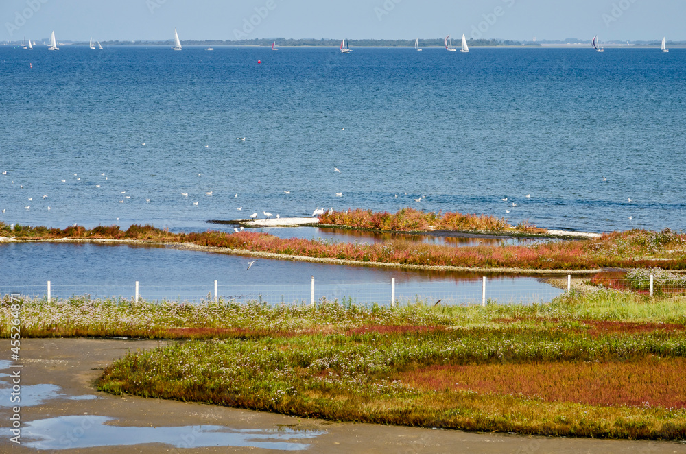 View of lake Grevelingen in the Netherlands, the largest saltwater lake in Europe, and the salty marshes at its shore View of lake Grevelingen in the Netherlands, the largest saltwater lake in Europe, and the salty marshes at its shore