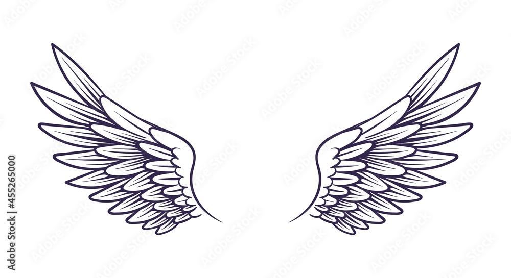 Drawn wing. Angel wings with feathers, elements for logo, label or