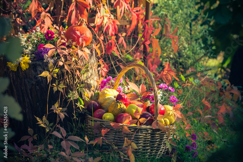 Season garden basket fruit gifts autumn