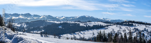 Wide panorama of Tatra mountains , western part, in winter viewed from Bukowina Tatrzanska in Poland © kilhan