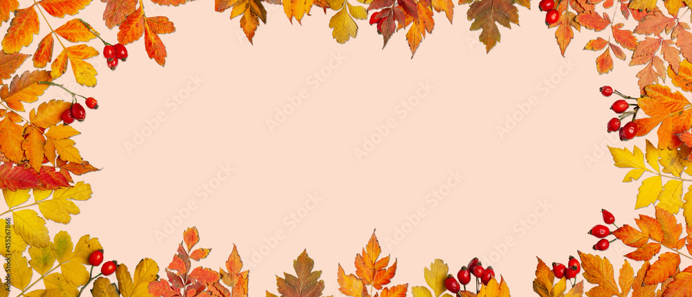Autumn background. A frame made of autumn leaves. Autumn banner. Background with copy space. Horizontal. Top view. Autumn background. A frame made of autumn leaves. Autumn banner. Background with copy space. Horizontal. Top view.