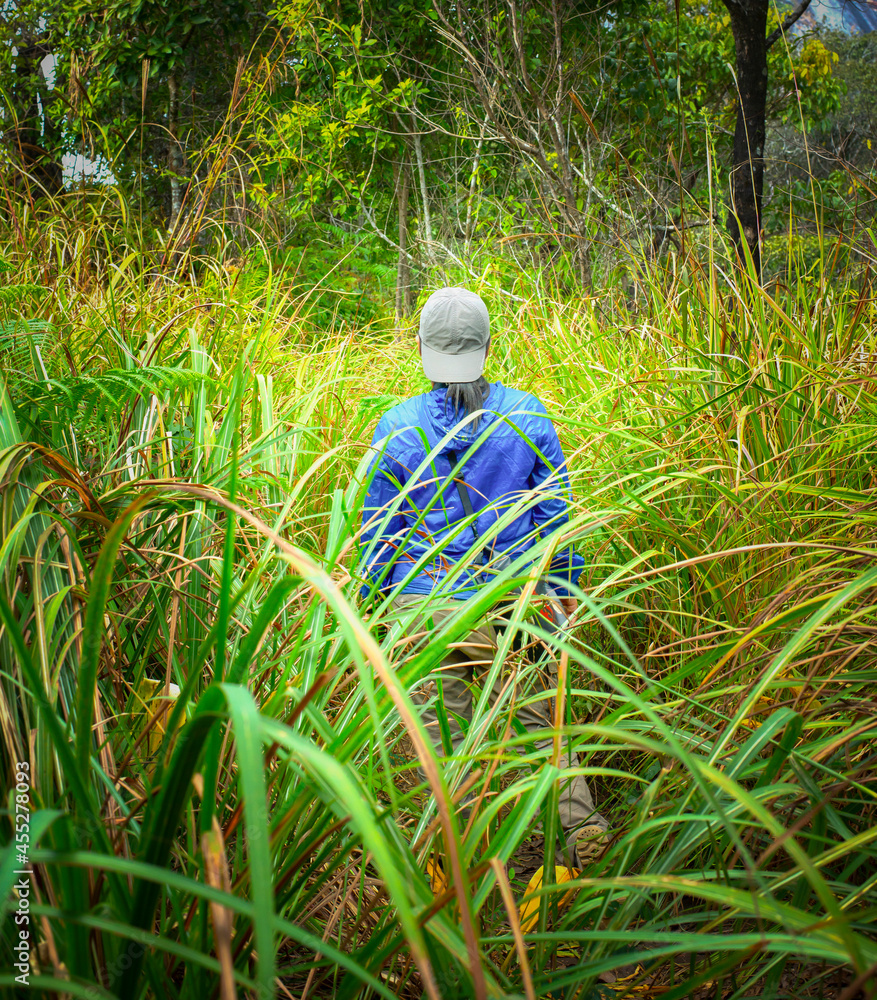 Portrait of a person traveling alone in the forest Portrait of a person traveling alone in the forest