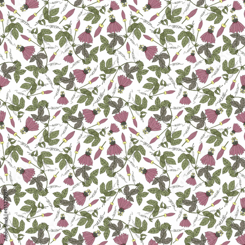 Seamless botanical white pattern with pink flowers
