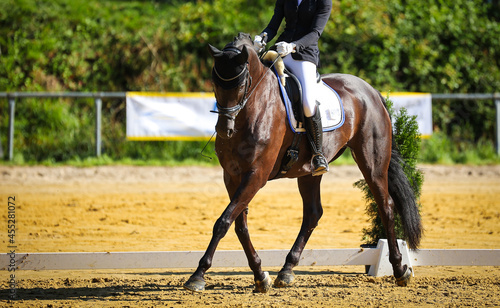 Horse dressage, dressage horse, with rider in a dressage test in side aisle (traverse)..