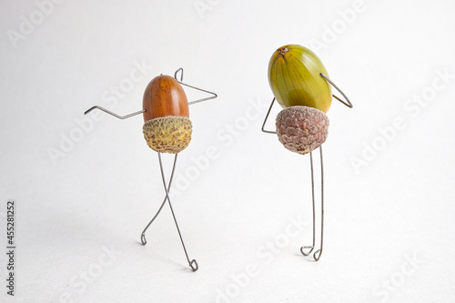 Composition of acorns in the form of characters