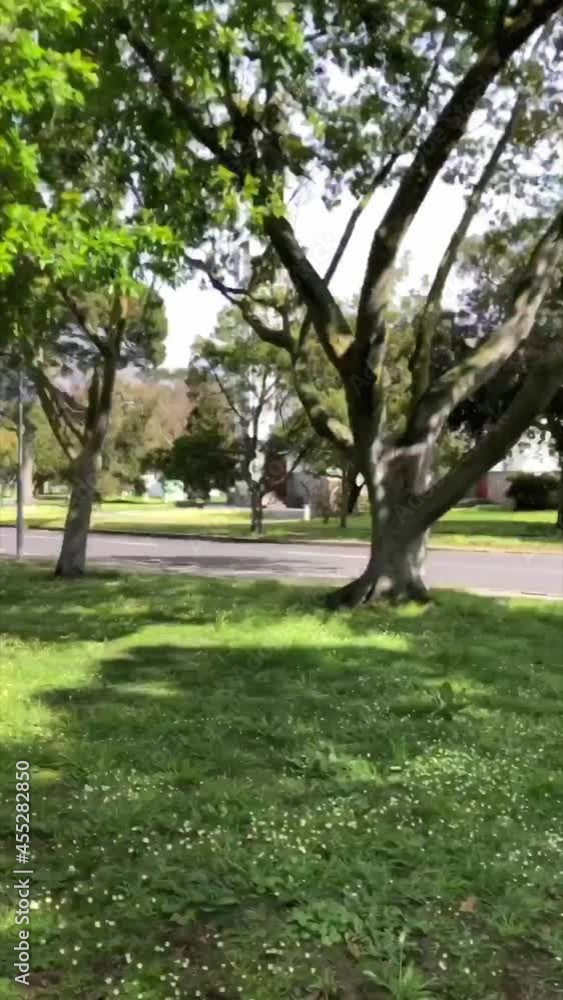 Vertical hyperlapse of a short walk through the suburb of Pinelands in Cape Town, South Africa. Vertical hyperlapse of a short walk through the suburb of Pinelands in Cape Town, South Africa.