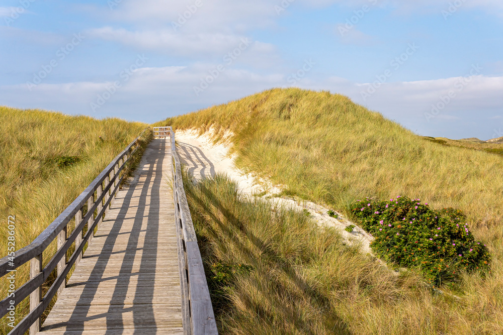 Wooden path to the Sea - Kampen, Sylt