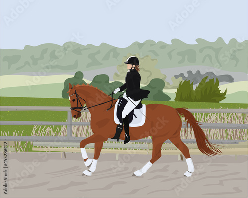 Tableau sur toile Equestrian sports, a girl riding a horse