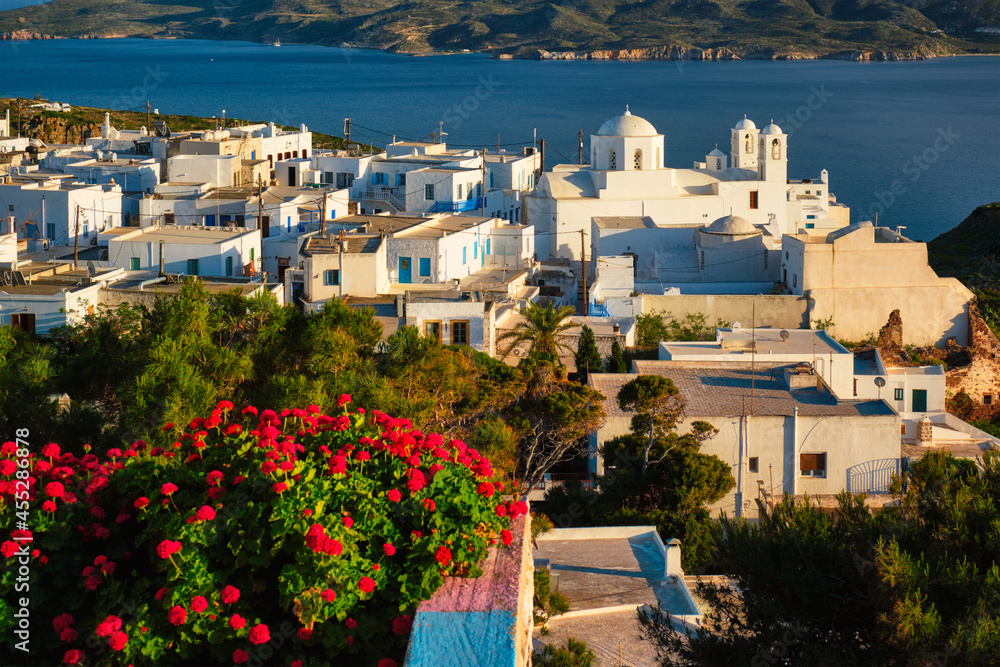 Naklejka premium Picturesque scenic view of Greek town Plaka on Milos island over red geranium flowers