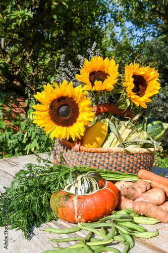 Fresh grown organic vegetables in a basket for harvest festival season