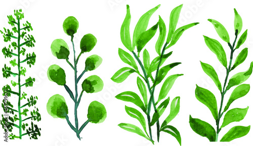 Set of green leaves in watercolor collection.