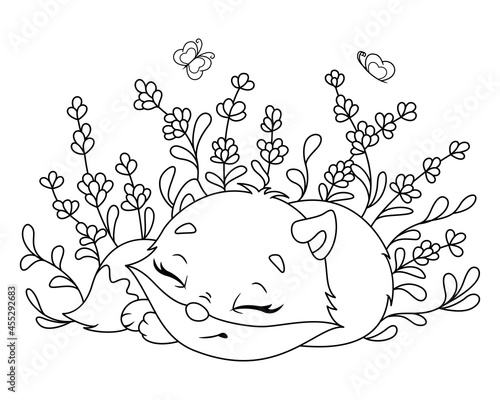 Little fox sleeping coloring page. Outline cartoon vector illustration