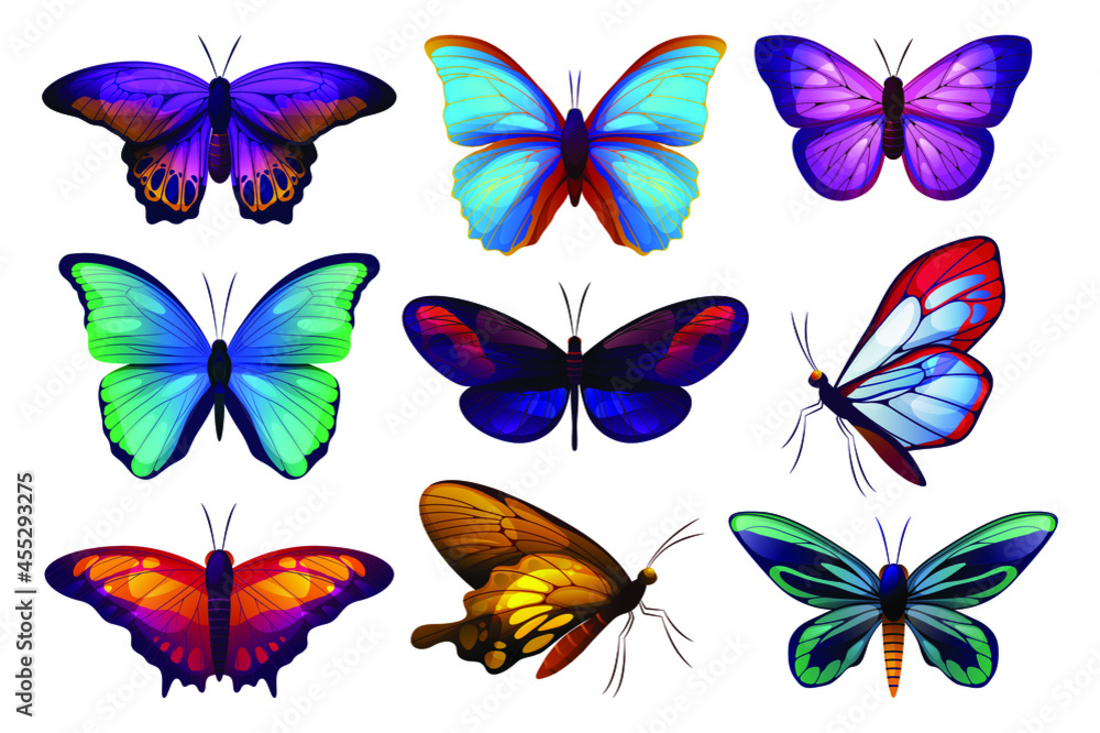 Set of butterfly or moth butterfly icons. Vector colorful insects, tropical biological species or animals group. Summer decorative elements, realistic design.