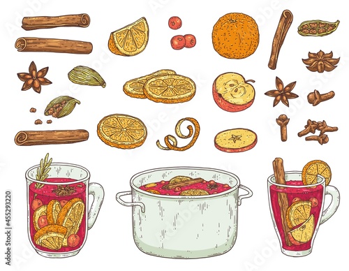 Mulled wine spices and ingredients set engraving vector illustration isolated.