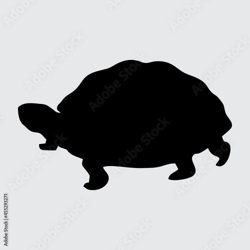 Turtle Silhouette, Turtle Isolated On White Background