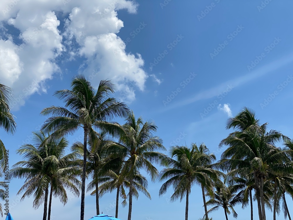 beaches in singer island in Palm Beach Florida  