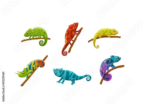 Colorful funny chameleons in rainbow colors, flat vector illustration isolated.