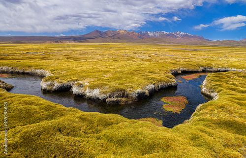 Landscape in the high Andes of northern Chile: a Bofedal with a little river and volcanoes in the background photo