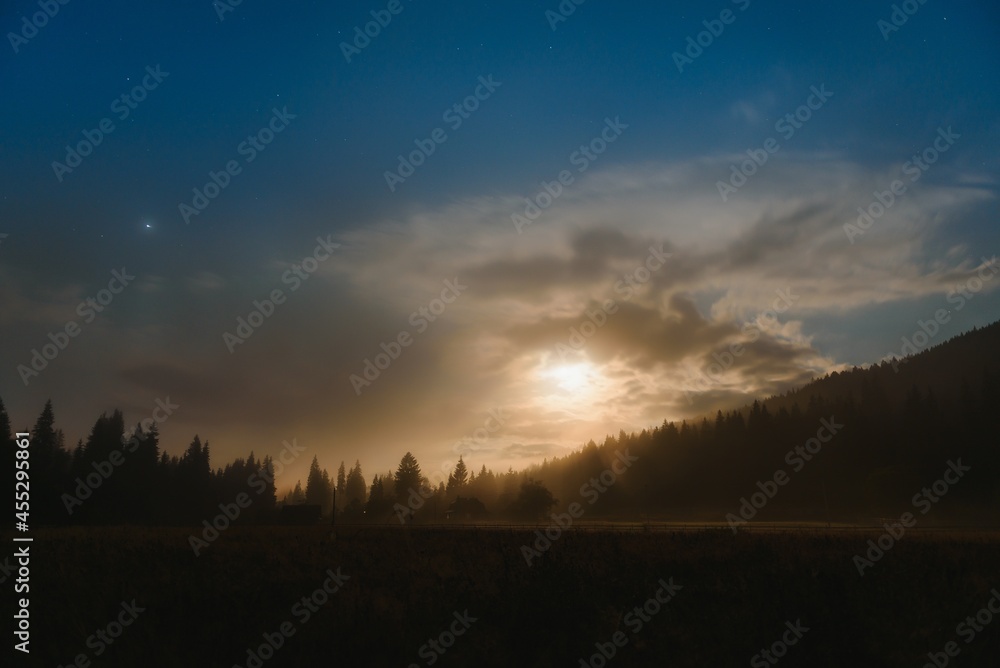 Wild forest silhouette on mountain under star night sky. Beautiful silhouettes of coniferous trees on hill in dark starry night. Wild forest silhouette on mountain under star night sky. Beautiful silhouettes of coniferous trees on hill in dark starry night.
