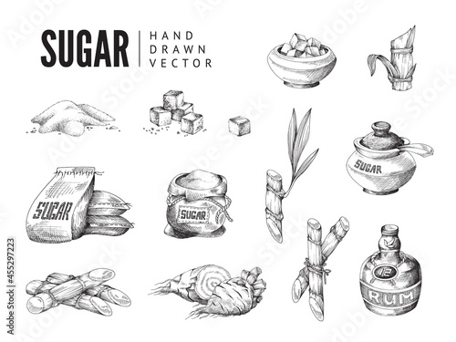 Elements for advertise design of natural food cane and beet root sugar