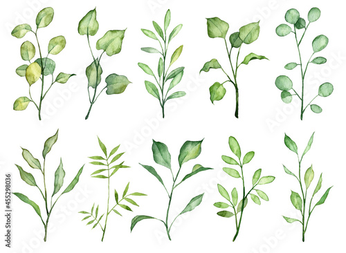 Set of watercolor hand painted green leaves on twigs. Hand drawn realistic botany isolated on white background. Different plants collection