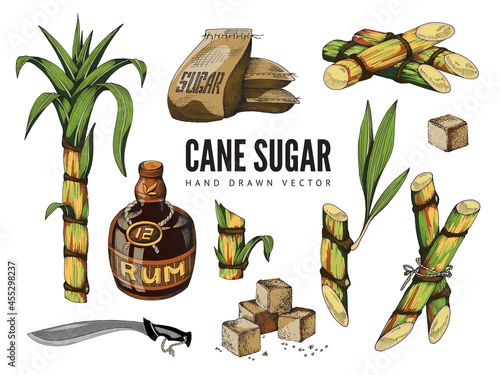 Set of sugar cane items - stems of sugarcane, cubes refined sugar and rum bottle