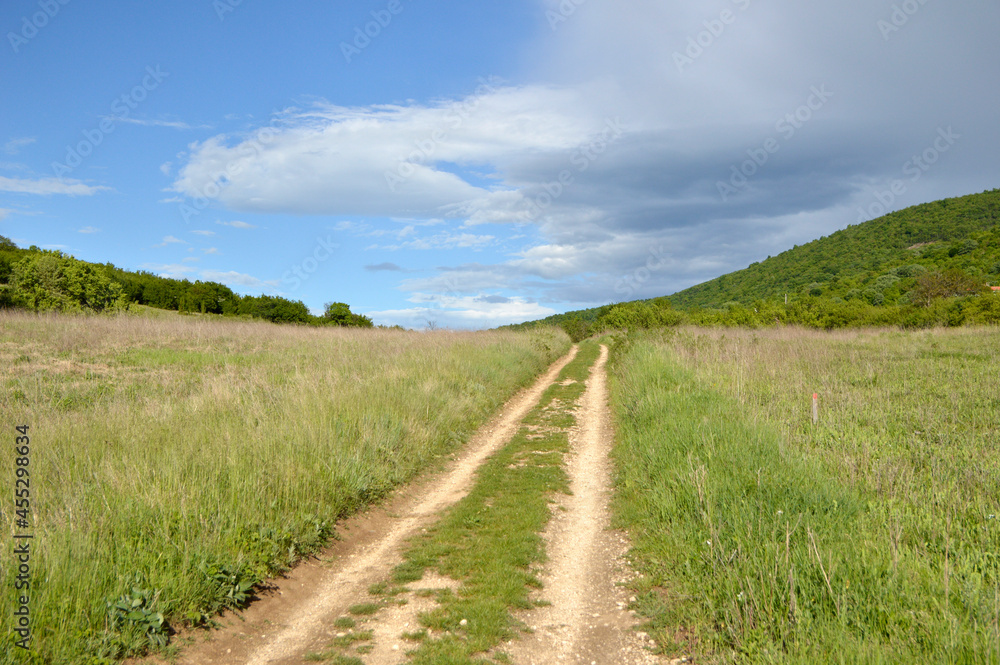 rural spring landscape with dusty path in Serbia