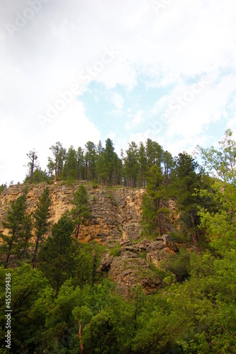 Views of Spearfish Canyon  Spearfish Canyon Scenic Byway  South Dakota