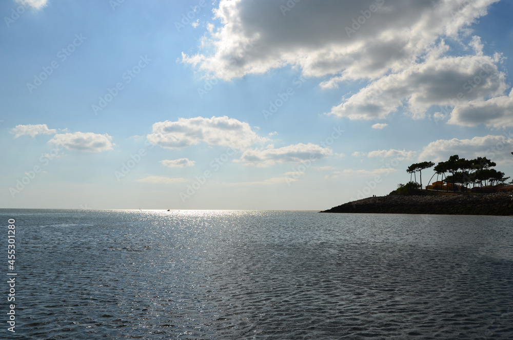 plage des pins de cordouan