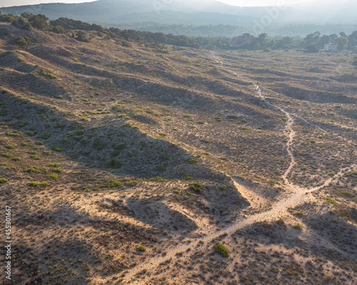 Arkutino dunes near the Ropotamo river photo