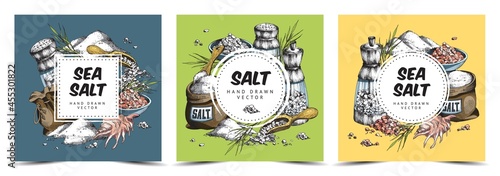 Set of three colored vector hand drawn illustration. Backgrounds with square labels for brand or text with items of salt
