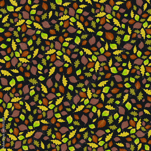 Vector illustration background with chaotically scattered autumn leaves of oak and elm