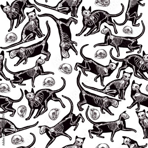 Photography seamless pattern with silhouettes of cats skeletons