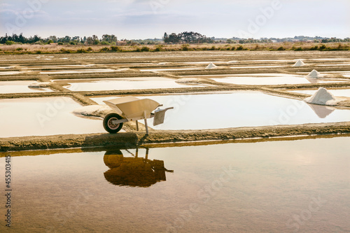 Traditional salt marsh photo