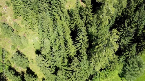 Drone flight over an alpine forest in Austria